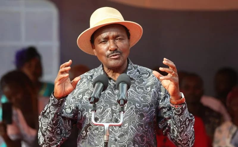Kalonzo hails High Court ruling nullifying Sh244.5bn Safaricom-Vodacom deal