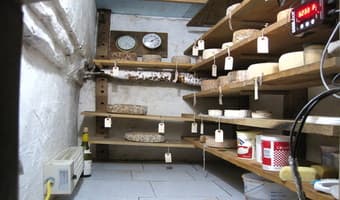 Low cost storage facility stems food waste