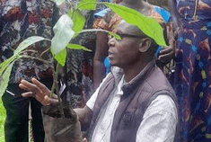 Teso retired teachers turn to Avocado farming