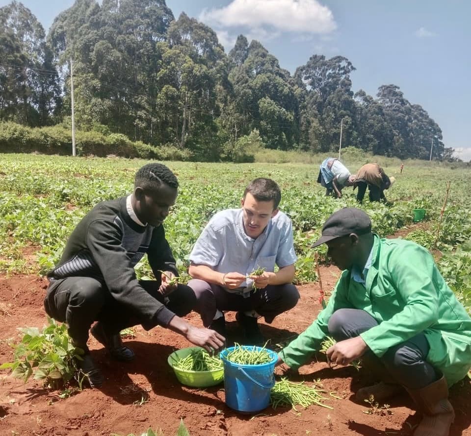 Kisumu farmer doubles bean earnings with quality hacks