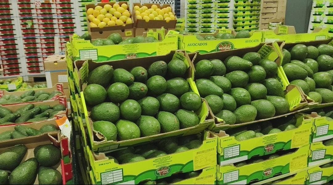 East Africa’s horticulture sector to convene in Nairobi to address trade, logistics barriers