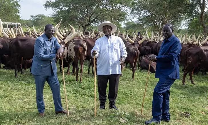 Raila Has Secured Support From Six African Presidents for AU Job