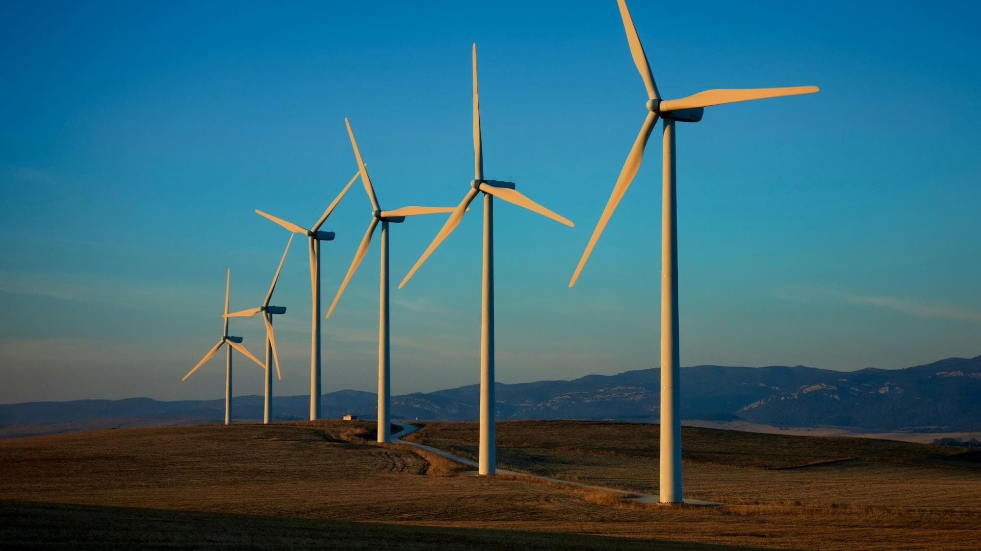 $200M Oman Wind Turbine Factory, China’s Shanghai Electric Group Powers Duqm Project to 1100 MW
