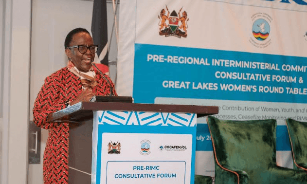 AU envoy calls for collective action towards lasting peace, stability