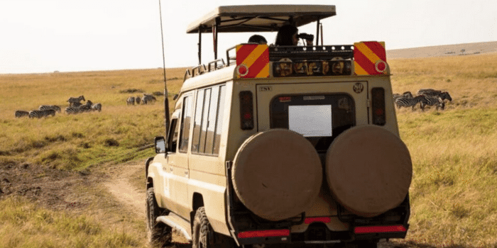 Swedish Tourists Raise Concerns Over Consumer Protection Following Safari Accident in Kenya