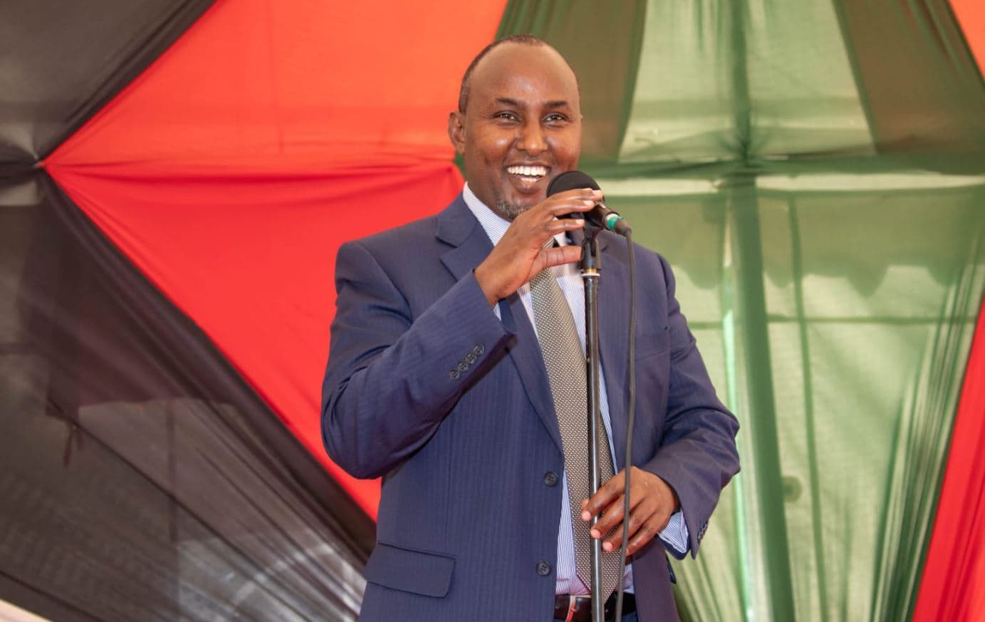Junet Mohamed Criticizes Diplomatic Appointments of Politicians Over Career Diplomats