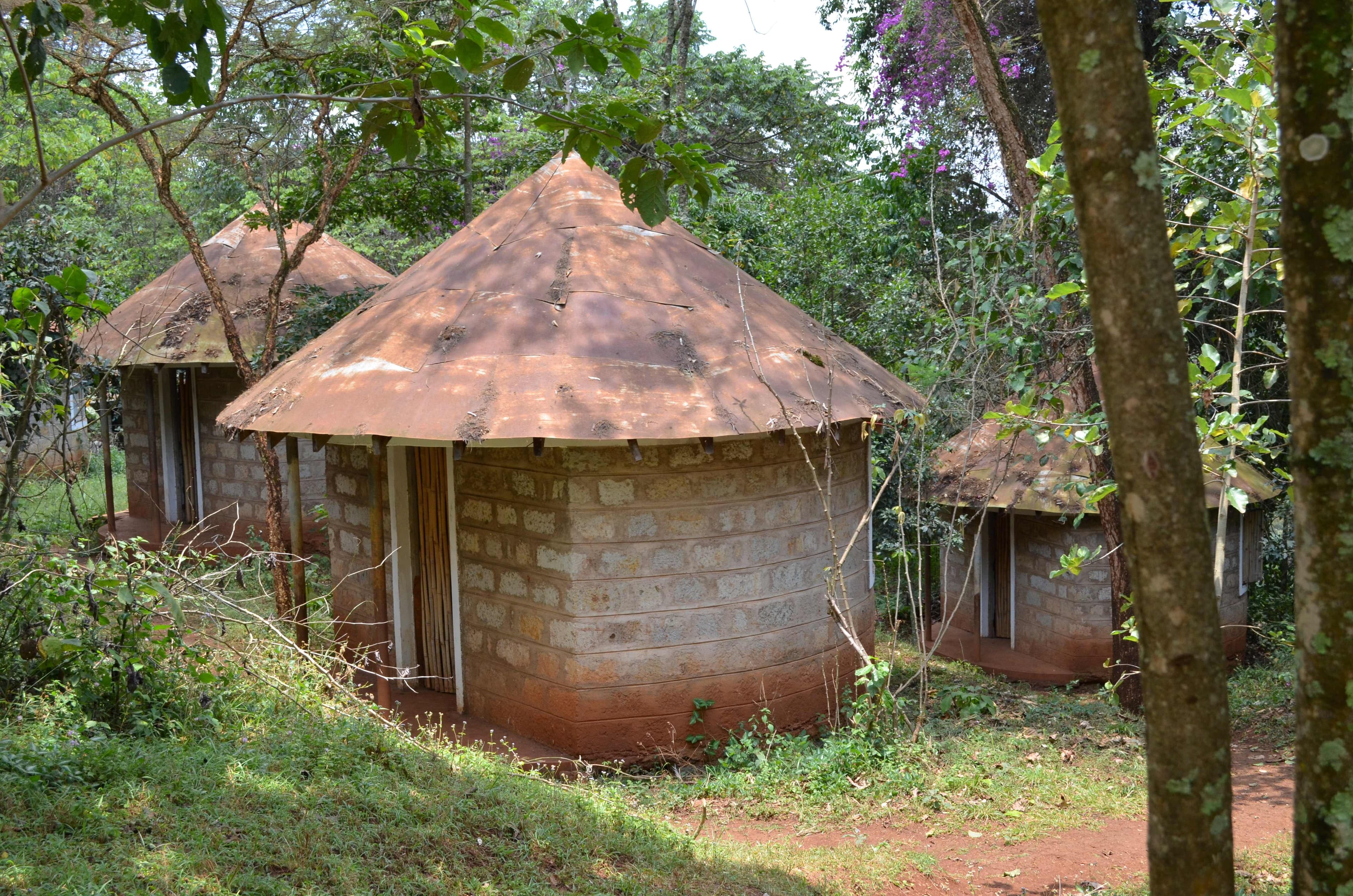 Govt plans to rehabilitate Mukurwe wa Nyagathanga