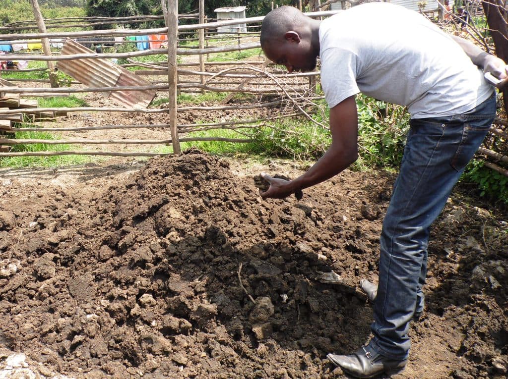 Pig rearing helps Kakamega farmer break down organic waste to manure