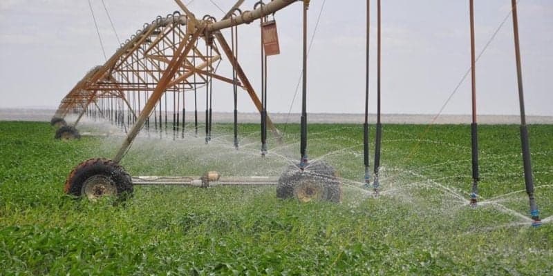 Africa urged to boost domestic funding for food security as climate risks mount