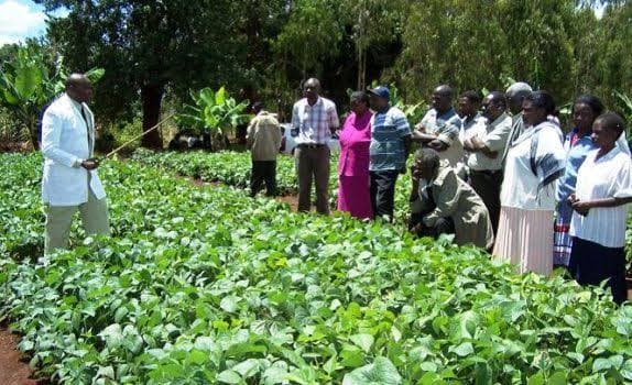 Willy Kavuu: This is why I quit farming