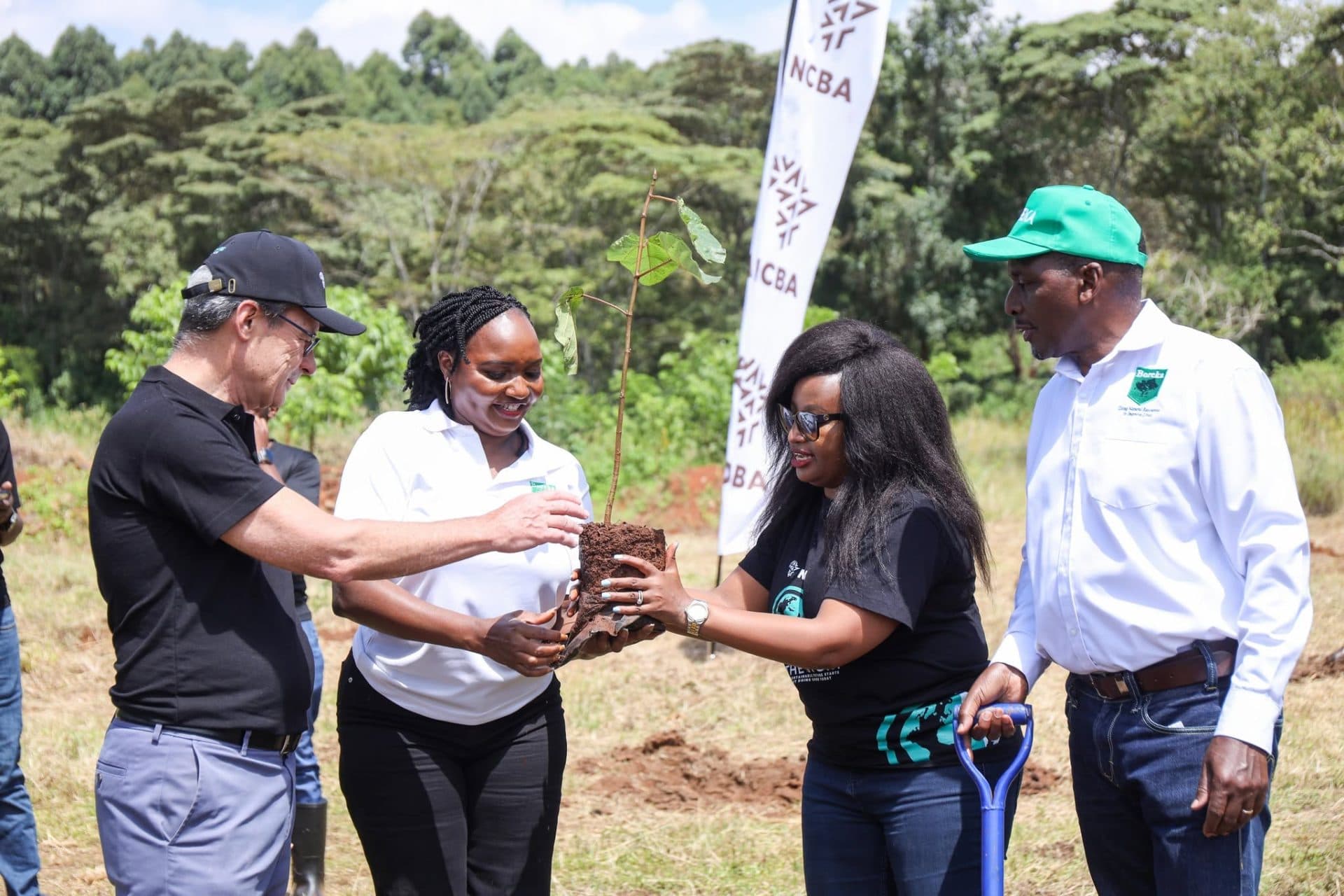 NCBA marks World Environment Day with tree planting at Kamwaki Estate