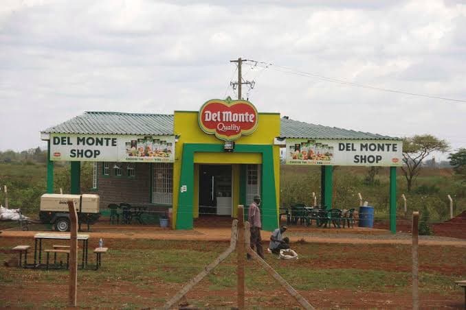 Protests after man shot dead at Del Monte Farm in Murang’a