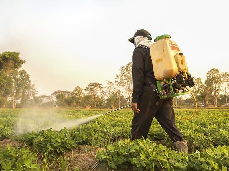Kenya goes after fake pesticides with new law