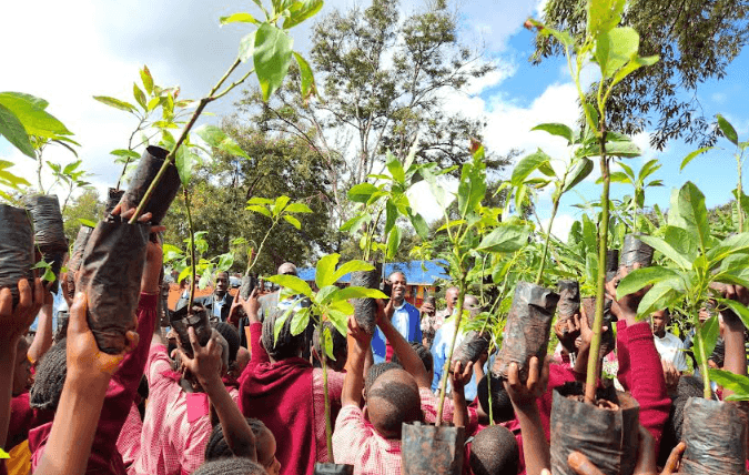 WASPA pushes water conservation through school-based tree planting programme