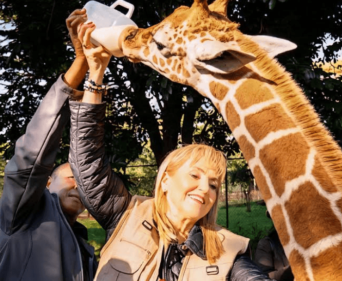 Kenya bets on trillion-shilling tourism conservation future