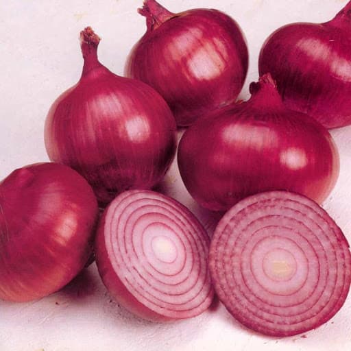 FarmBiz TV:Low supply increases red bulb onion price to Sh120 per kilo in Mombasa