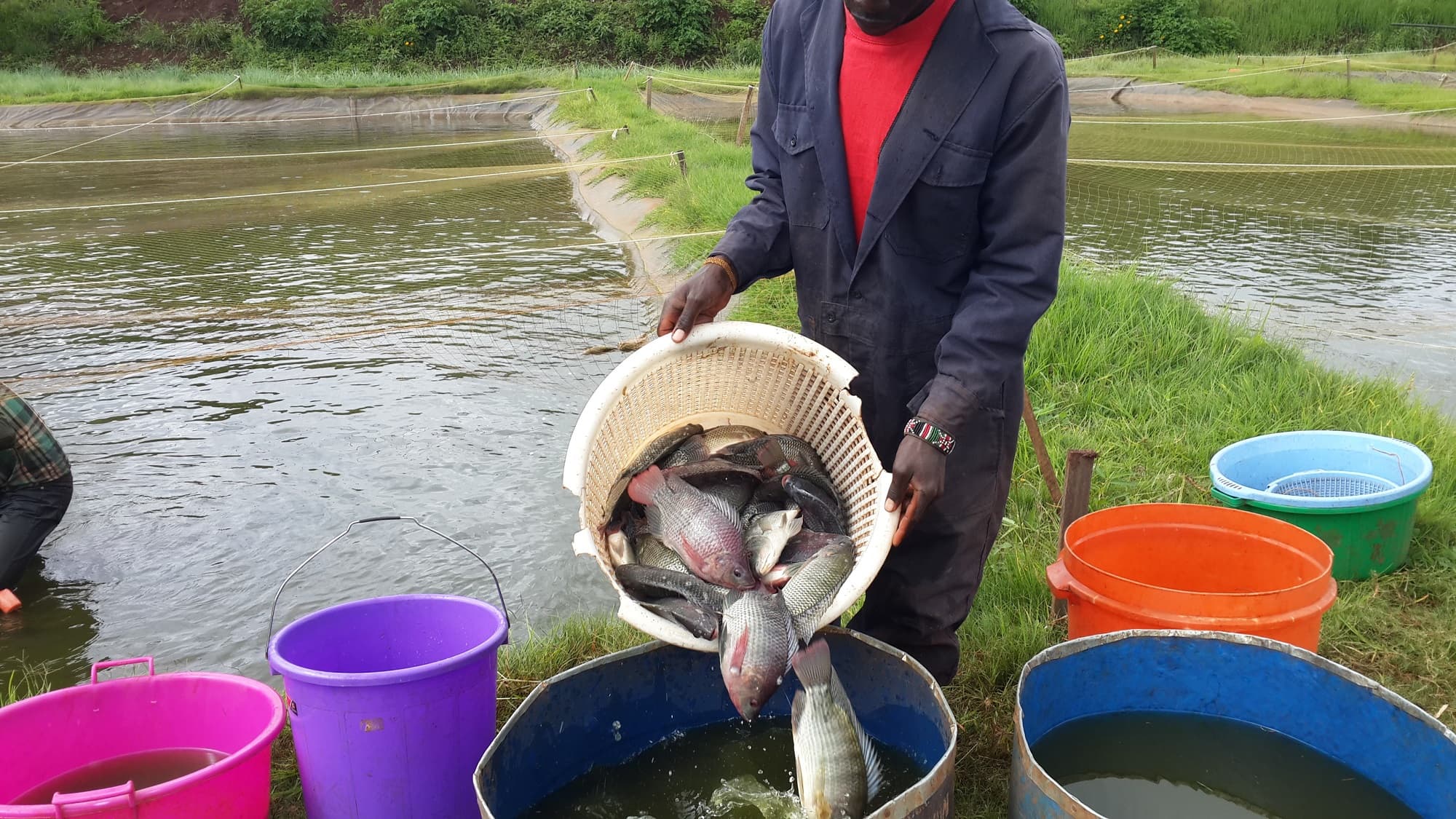 Kenya facing 360M kilogram fish deficit