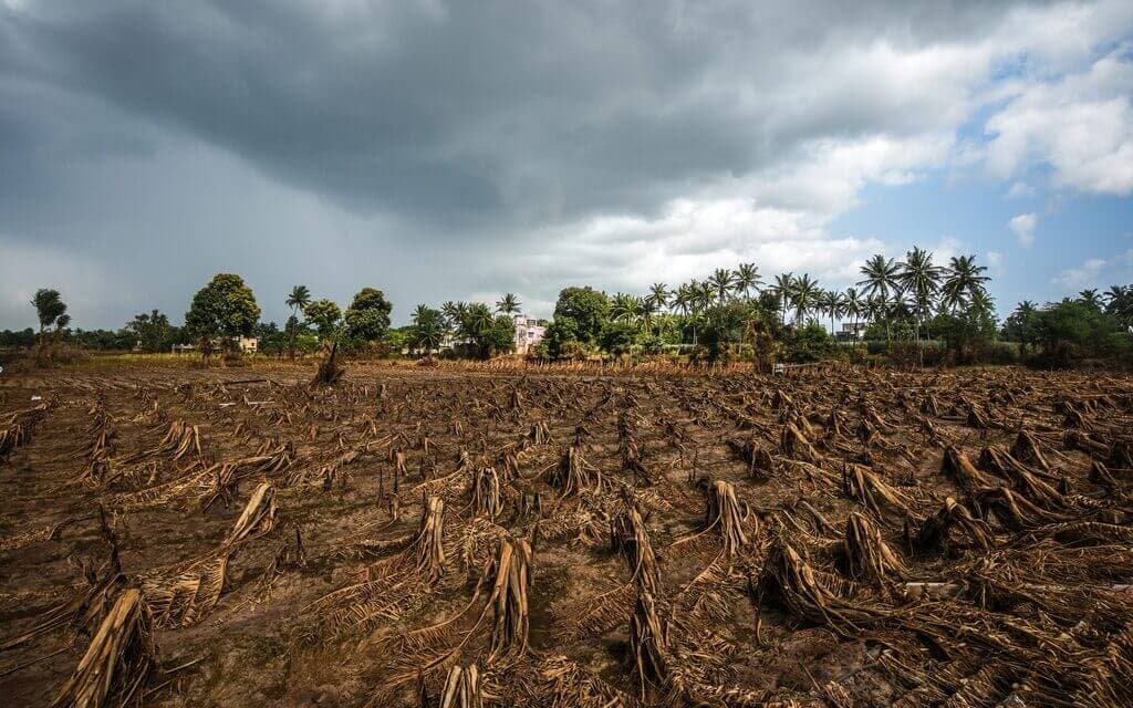 Farmbiz Africa remedy for Kenya’s rain-savaged soils
