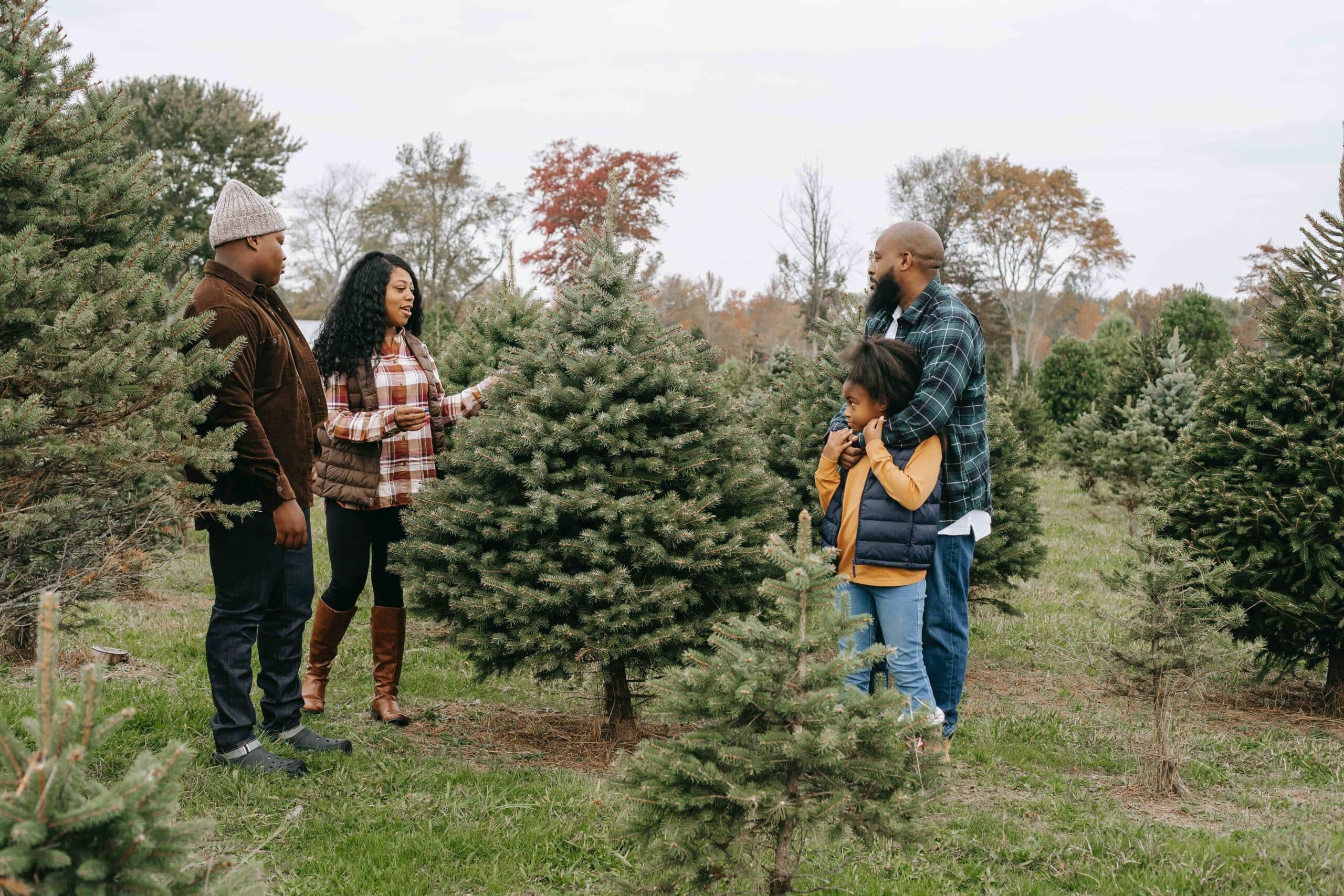 Relationships: When Your Family Does Not Like Your Partner