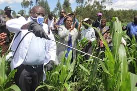 Four pesticide regulatory pillars are the route to food security