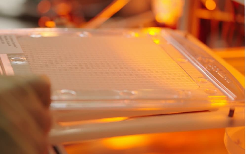 SC Johnson expands malaria prevention efforts with repellent manufacturing in Kenya