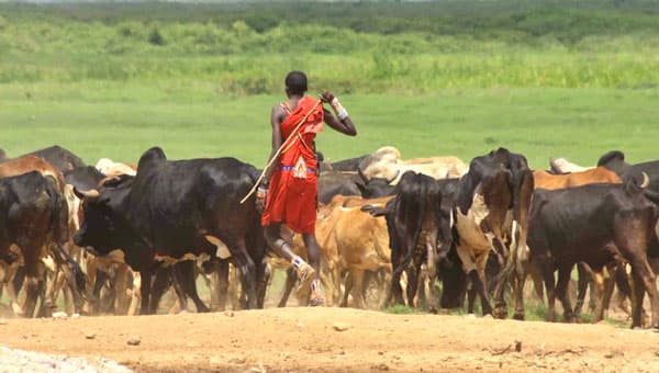 IGAD’s seeks to stop pastoralists’ conflicts in Eastern Africa with new policy
