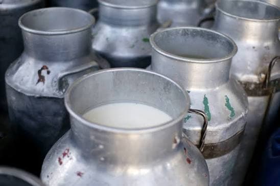 Kenya becomes the largest producer of milk in Africa