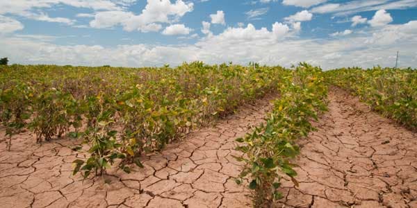Farmers tackle climate change with smart villages