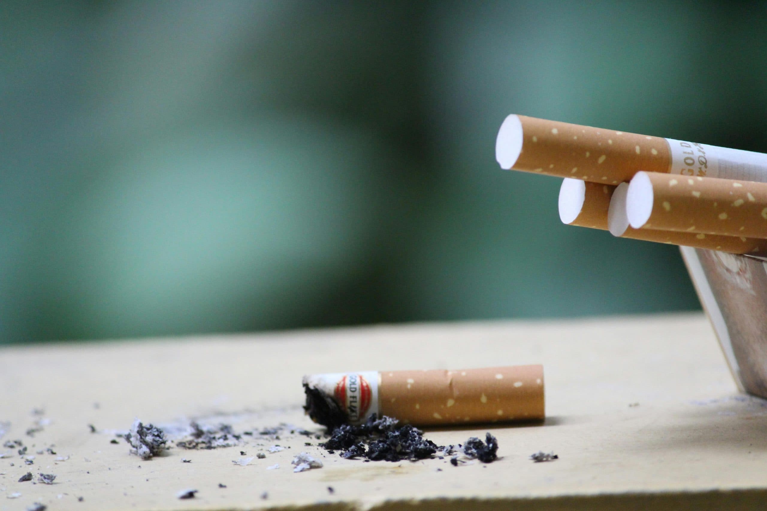 Traders Push Parliament to Halt Tobacco Bill Over Illicit Trade Fears