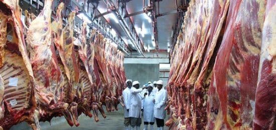 Beef prices soar on post-drought shortage