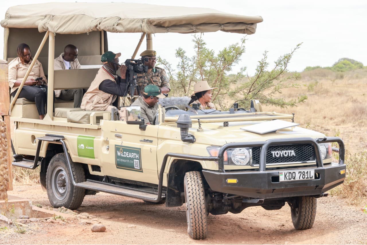 Wildlife live streaming intended to draw in more international audiences as KTB celebrate World Rhino Day