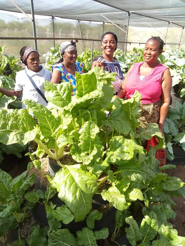 Herbs exporter looking for more farmer groups to meet Dubai market demand