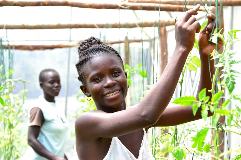 KCIC opens applications for 2023 Vijana na AgriBiz Competition