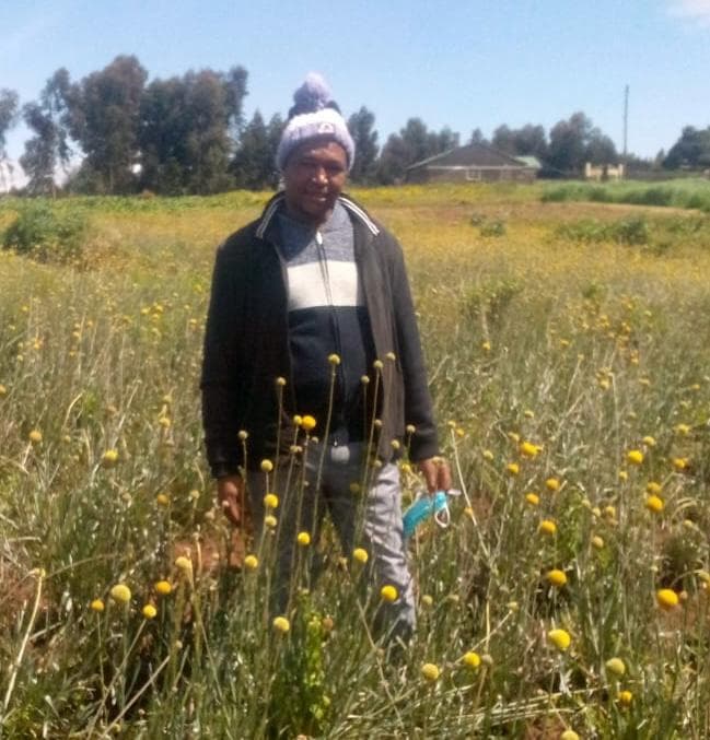 Farmer lifts flower income 4x with forest soil from KFS
