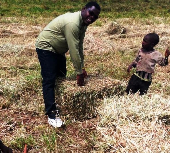 Kenya Seed Company is contracting farmers to produce Boma Rhodes seeds