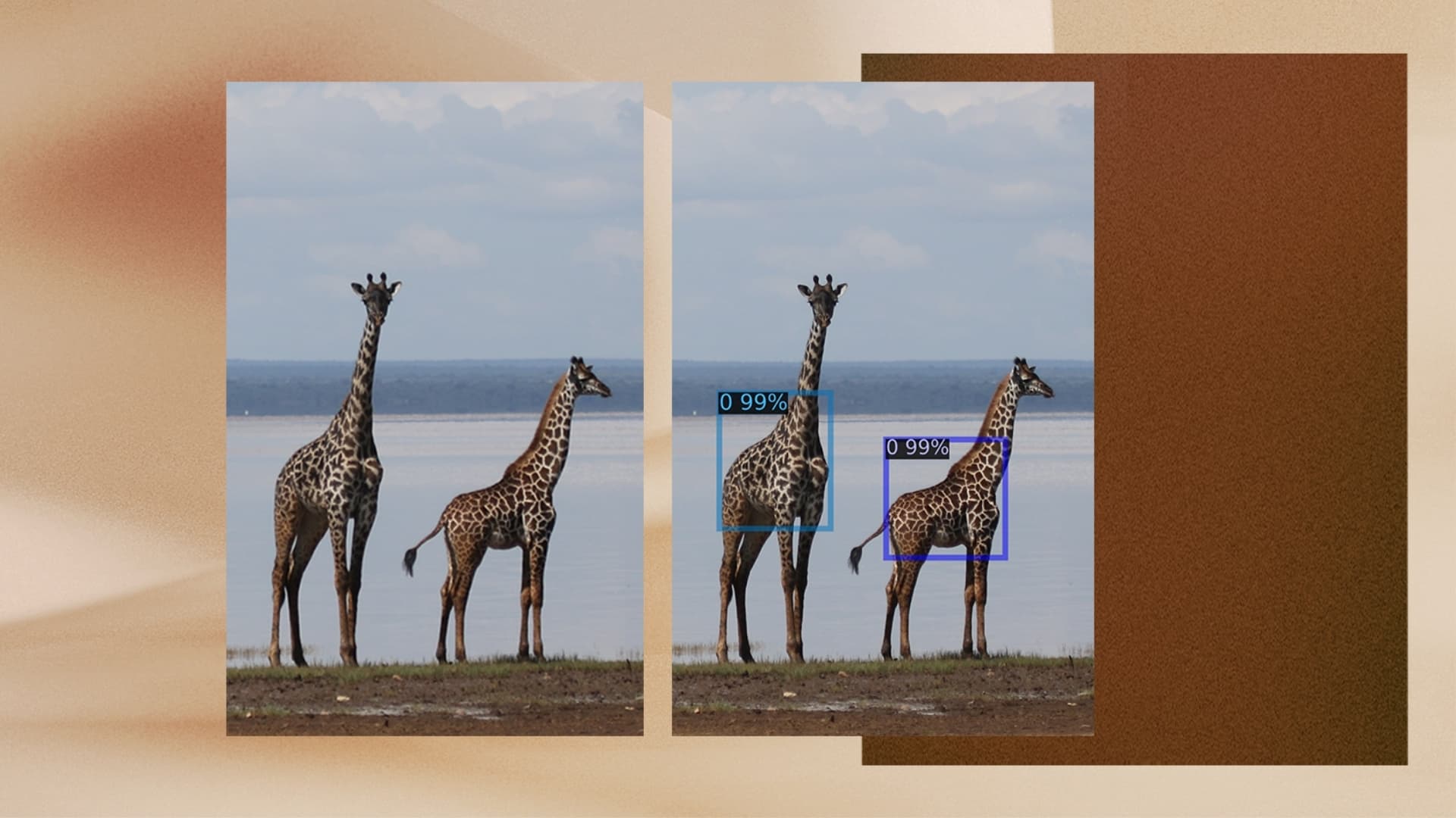 How Microsoft’s AI for Good Lab Is Helping Save Giraffes from Extinction