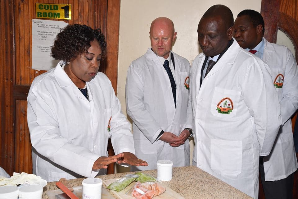 KEPHIS unveils 140 new disease resistant seed varieties