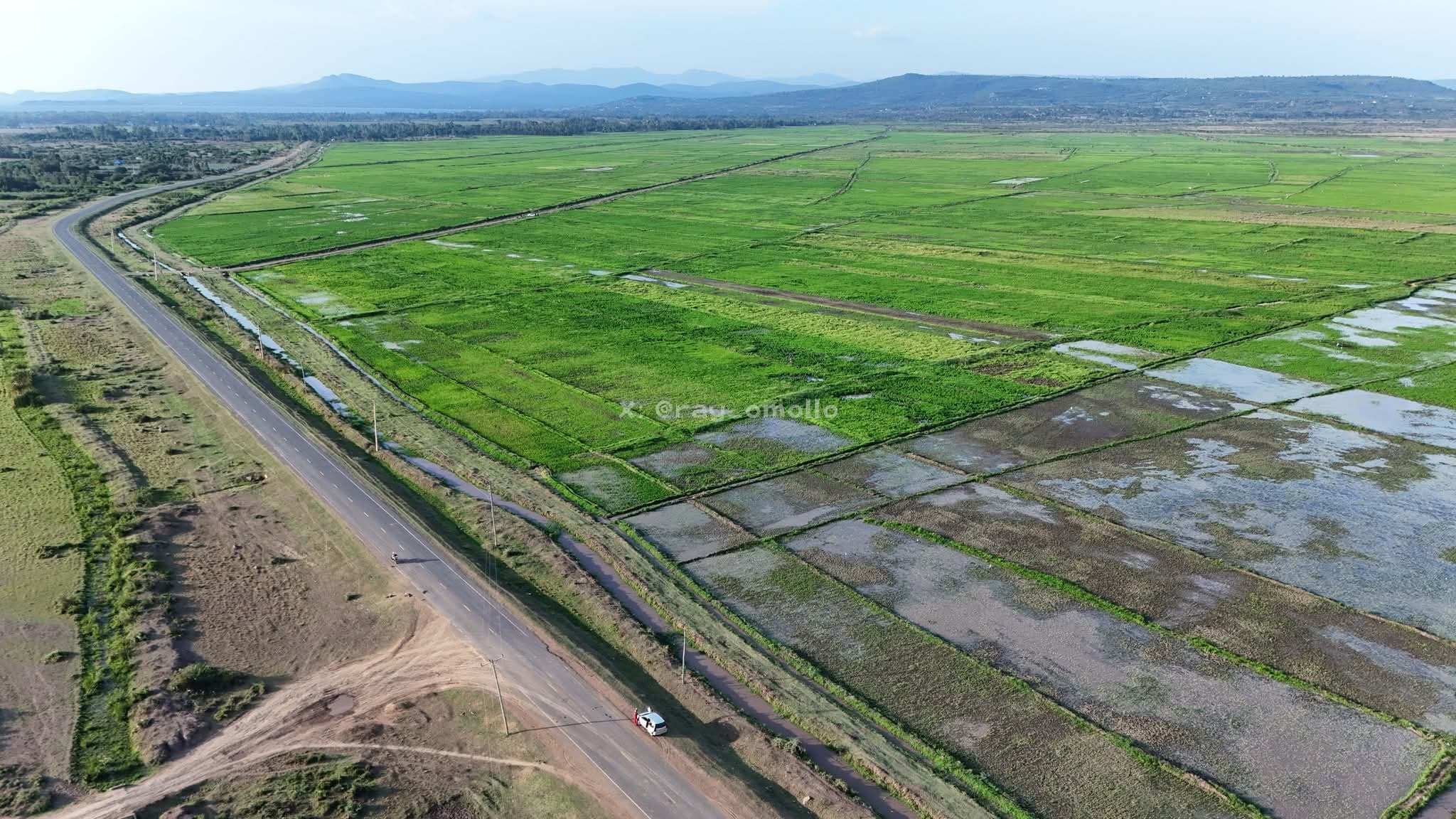 Lower Kuja Irrigation Expansion Revives Rice Farming, Boosts Jobs in Migori