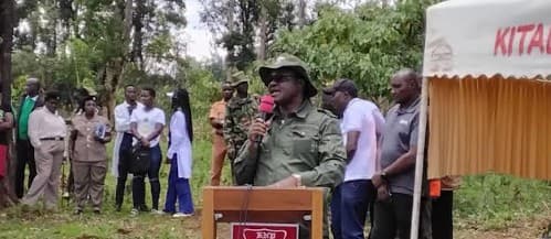 National government’s 15 billion trees target by 2032 still oncourse