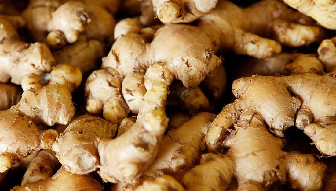 Poor Chinese ginger harvest provides opportunity to new ginger exporters