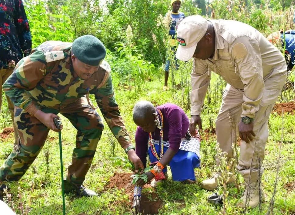 Wildlife Department intensifies tree planting to restore Oloitokitok Forest