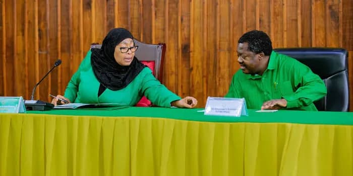 Tanzania Vice President Emmanuel Nchimbi Resigns