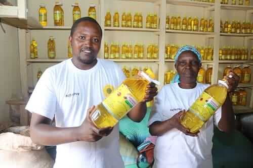 Meru oilseed processor recruiting 1,000 sunflower farmers to plug waning production