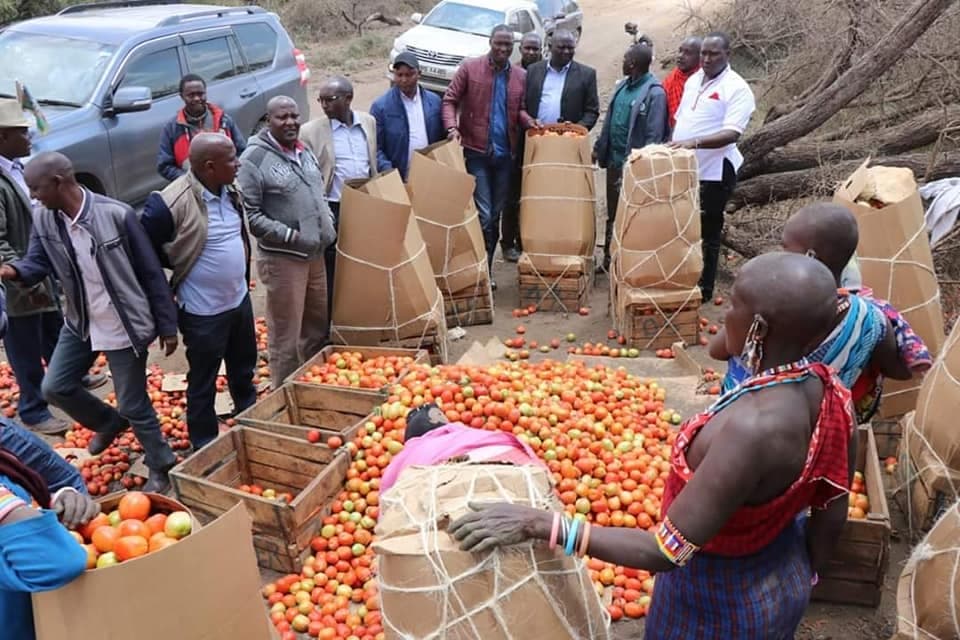 Tomato prices hit year low across the country.
