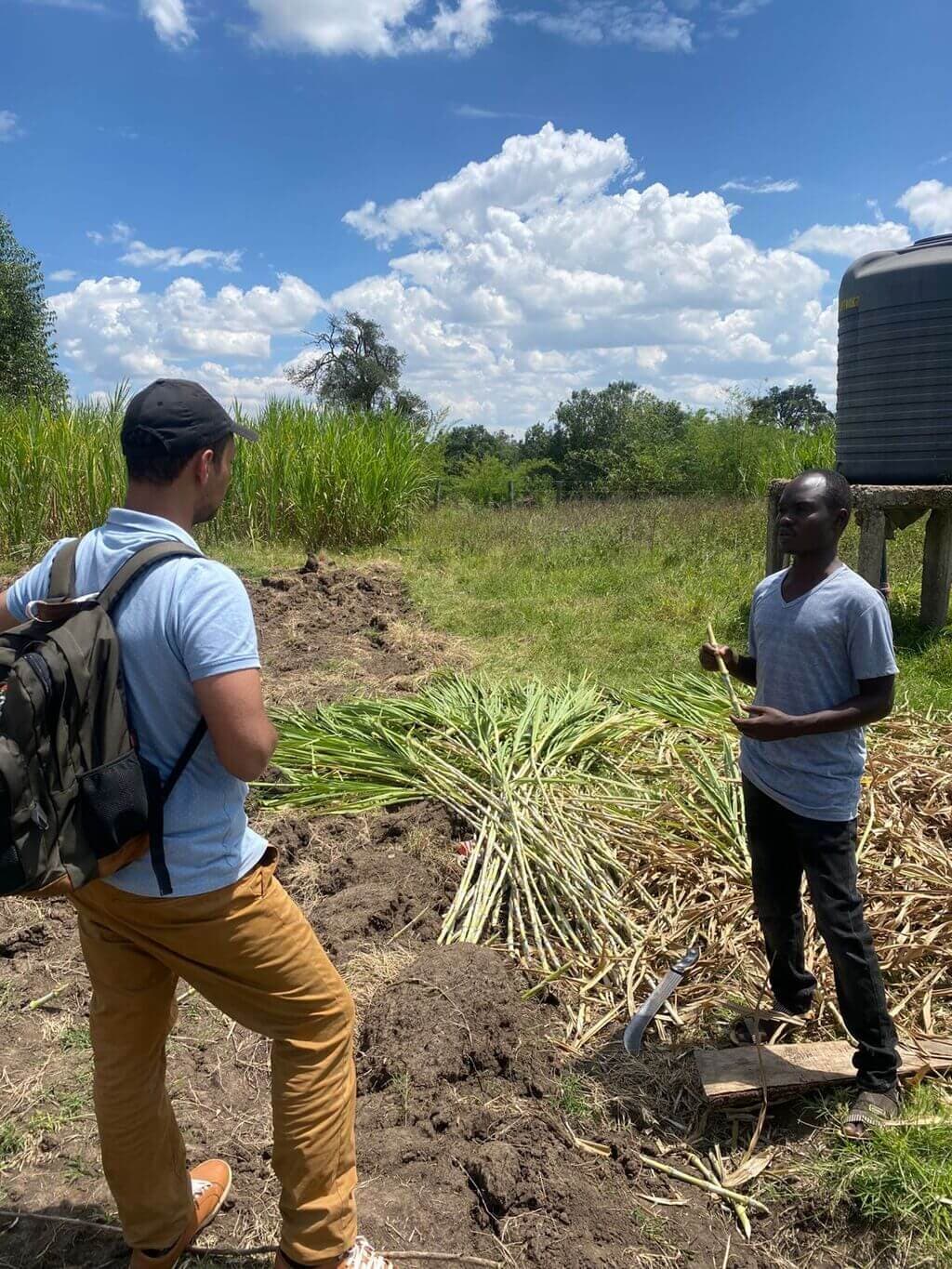 Roundup agriculture jobs in Kenya-9th September, 2025