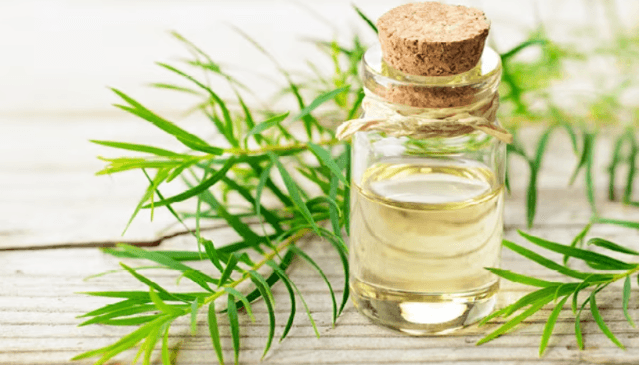 15 Oils You Should Add To Your Skincare Routine
