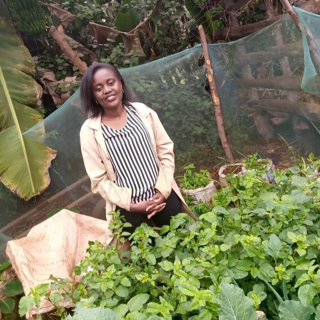 Uni student helps family save on daily vegetable costs with 8 x 6 garden