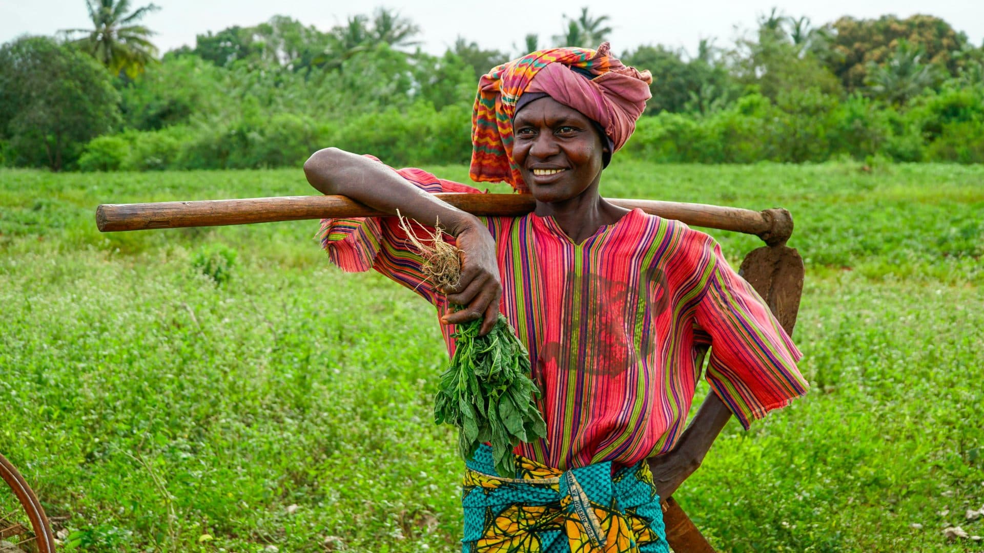 Fixing Kenya’s food crisis: Why policy and distribution matter more than production