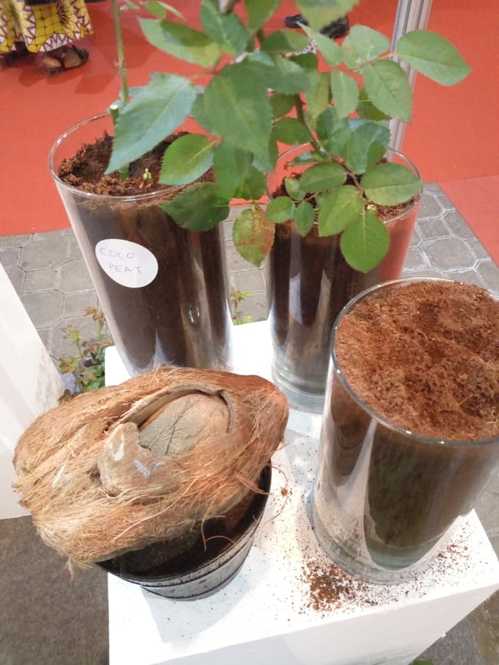 The growing medium that offers 100 per cent seed germination than soil