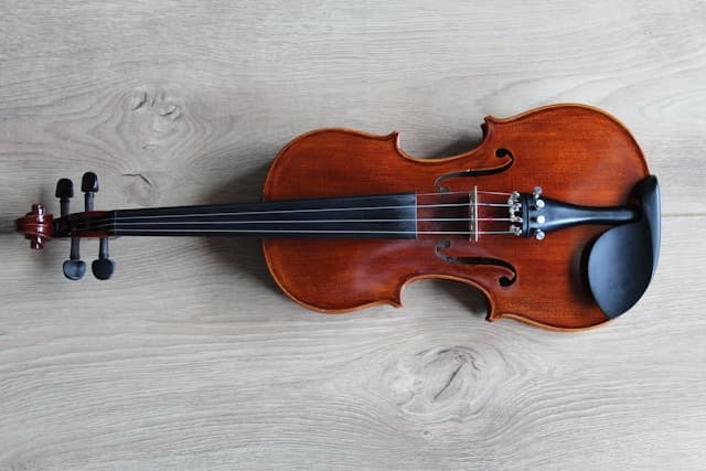 Assessing the Life Span of Bam Violin Cases: Is it Worth it?